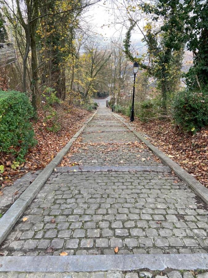 Vakantiewoning De Kassei Geraardsbergen Max 12Personen المظهر الخارجي الصورة